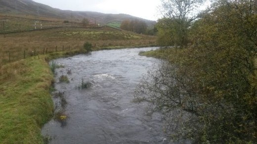 River Fruin above Black Bridge.