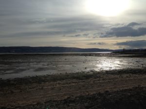 Clyde Estuary