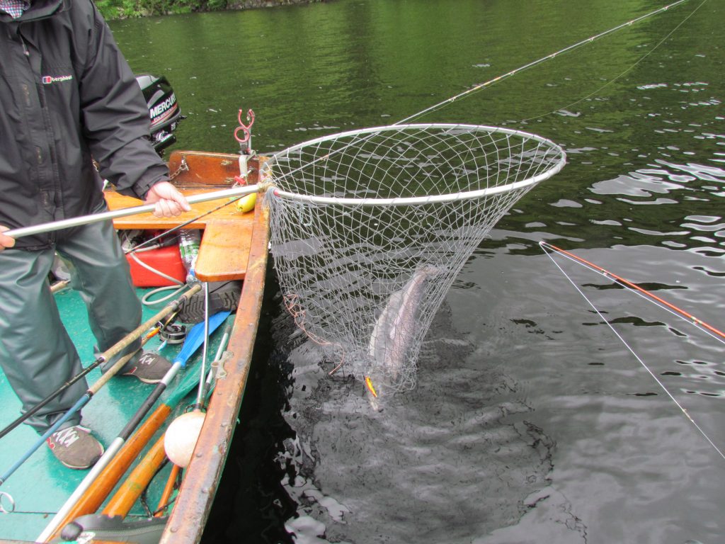 Fishing – San Rafael's Loch Lomond Bait and Tackle celebrates 50 years
