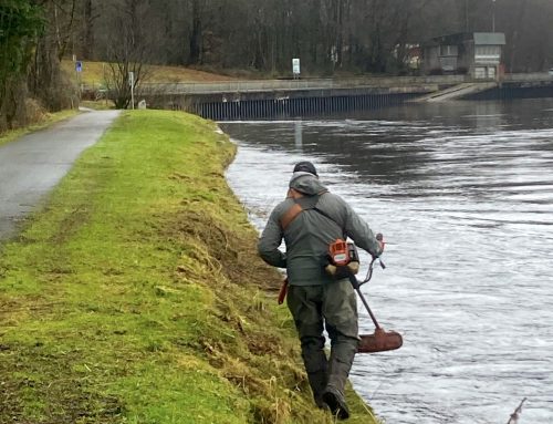 Lomond System News Byte – 1st River Leven bank Work Party of 2023