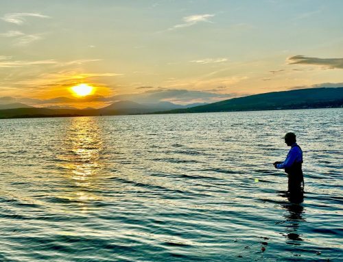 LLAIA Lomond System News – 12th June 2023