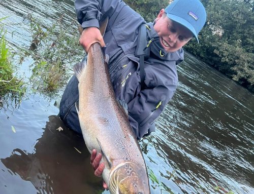 Lomond System News – Week Ending 27th October 2023