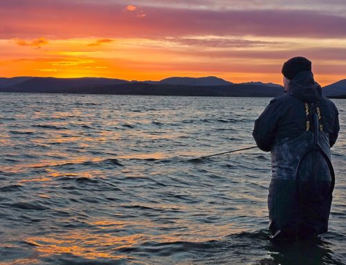 Lomond System News – 19th April 2025