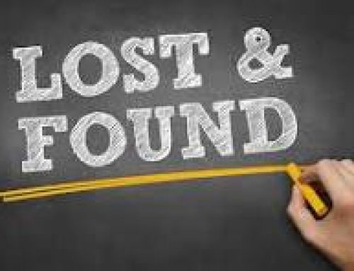 Lost and Found – Box of Flies & Box of. Lures