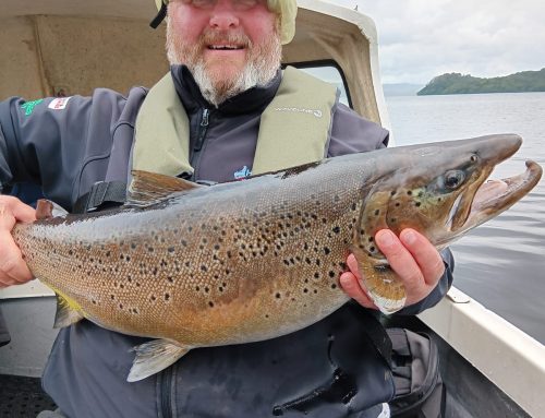 Lomond System News – 8th September 2025
