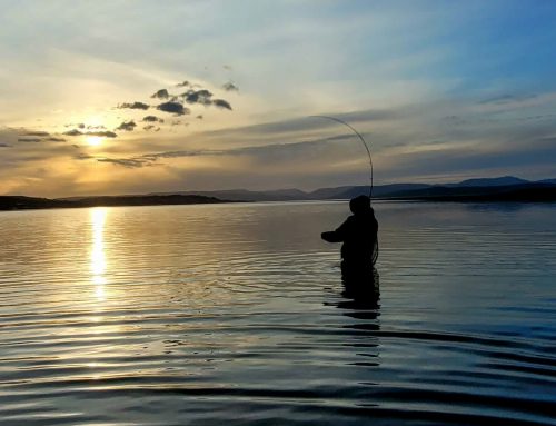 Lomond System News – 6th May 2026